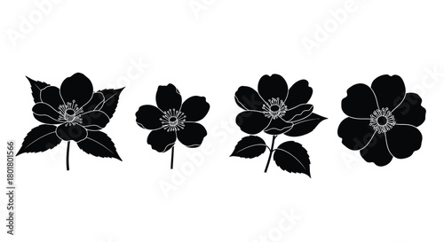 Set of black flower silhouettes for design use