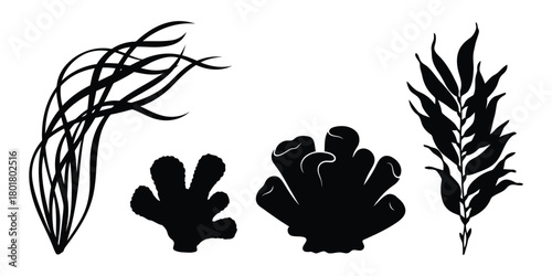 Black silhouettes of underwater plants and coral seaweed