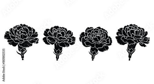 Four black carnation flower silhouettes