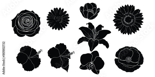 Black silhouettes of various flowers on white background