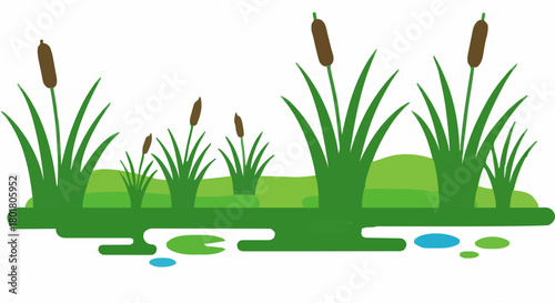 Flat illustration of a marsh with cattails and reeds, ideal for nature-themed design projects