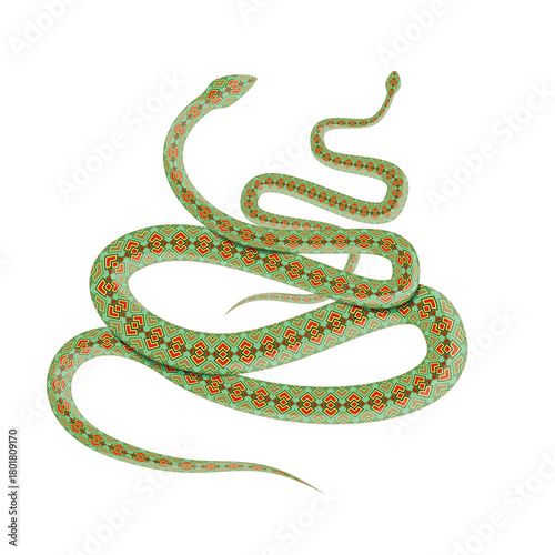 Viper snake drawing with ornament, art