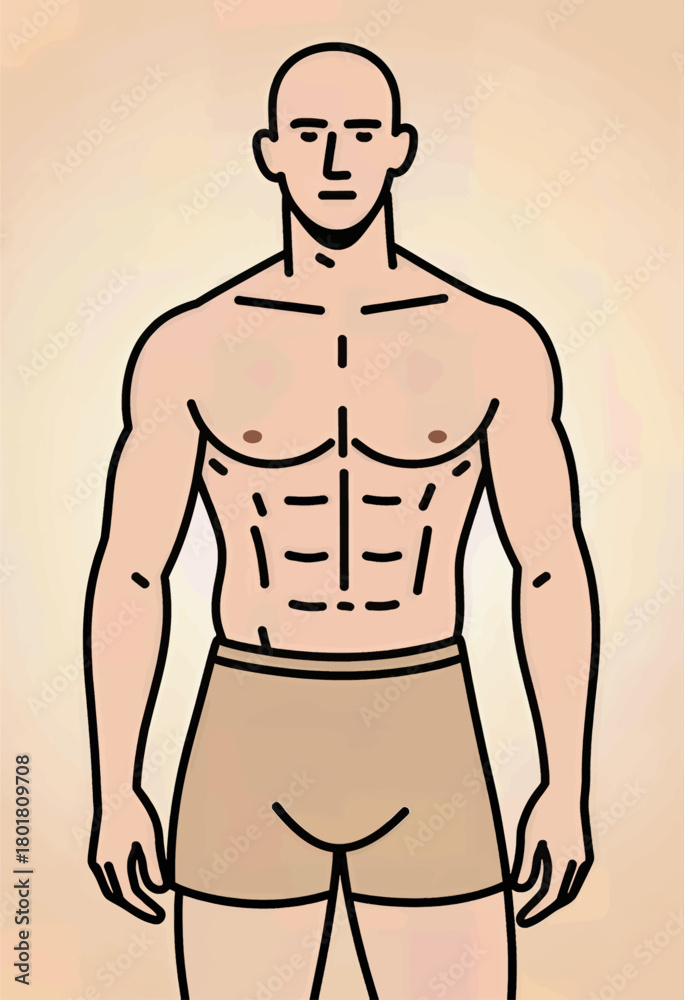 Fototapeta premium Muscular male torso outline in minimalist style isolated