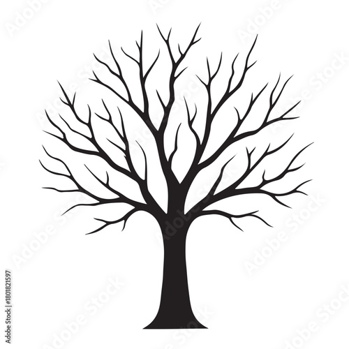 Silhouette of a bare deciduous tree on white background