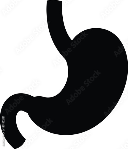 Stomach anatomy illustration digestive system organ medical healthcare eps silhouette
