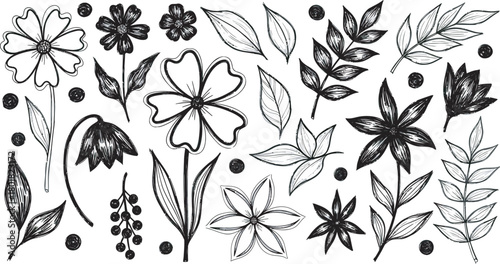 vector flower design with brush 