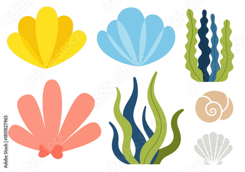 set of illustrations of shells and sea elements