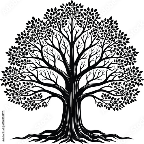 Tree of life vector illustration black and white nature design graphic eps silhouette