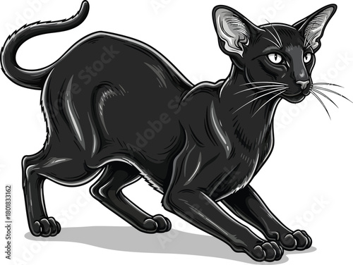 Black oriental cat illustration vector art sleek feline pet animal art eps silhouette
