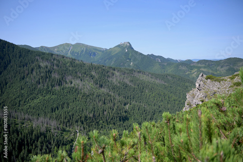 Fototapeta Naklejka Na Ścianę i Meble -  Spectacular views form the hiking trail through Boczan to Gasienicowa valley from Kuznice. Tatra National Park, Poland. Giewont peak