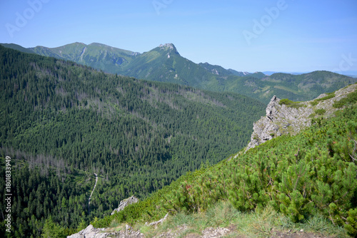 Fototapeta Naklejka Na Ścianę i Meble -  Spectacular views form the hiking trail through Boczan to Gasienicowa valley from Kuznice. Tatra National Park, Poland. Giewont peak