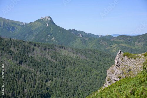 Fototapeta Naklejka Na Ścianę i Meble -  Spectacular views form the hiking trail through Boczan to Gasienicowa valley from Kuznice. Tatra National Park, Poland. Giewont peak