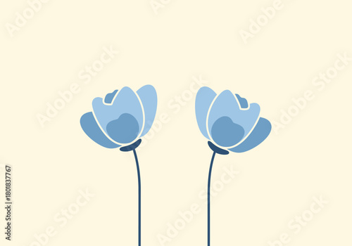 vector illustration of a tulip