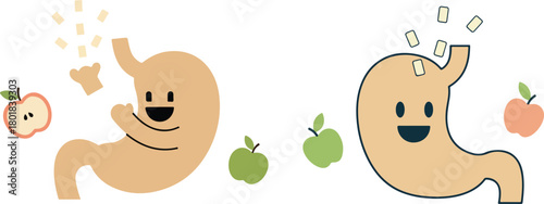 Happy Stomach Celebrating Digestion After Healthy Meal Flat Vector Illustration