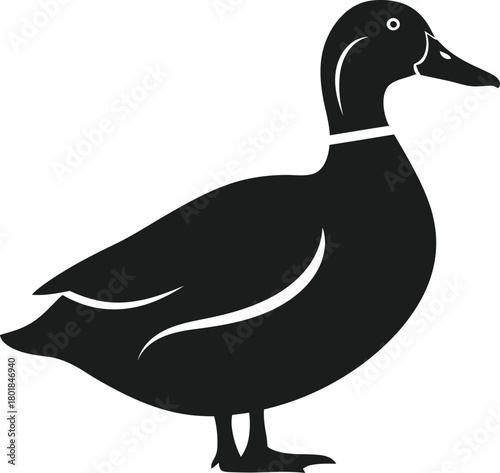 Isolated black duck vector illustration waterfowl bird animal graphic eps silhouette
