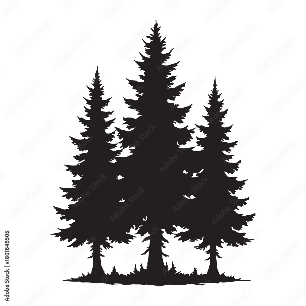 Obraz premium A striking black silhouette of three tall pine trees with detailed branches isolated on white background