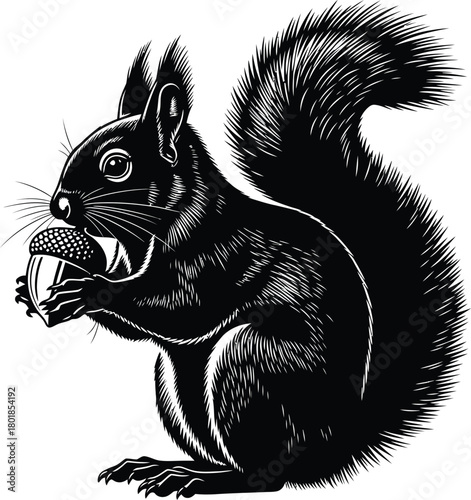 Black squirrel eating acorn drawing vector illustration clip art image eps silhouette