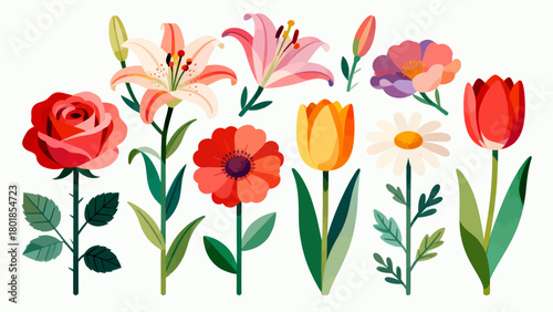 A collection of various flowers, with cartoon hand-drawn vector illustrations