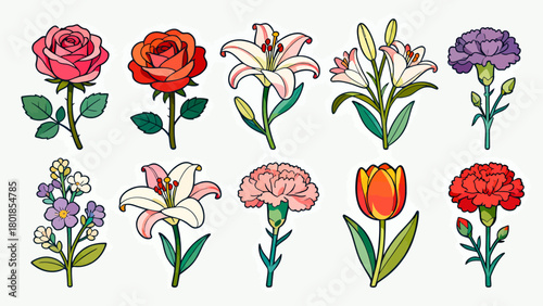 A collection of various flowers, with cartoon hand-drawn vector illustrations