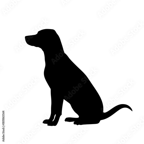 Elegant black silhouette of a sitting dog, poised and attentive