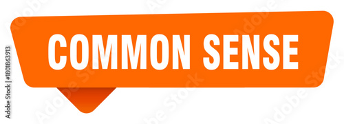 common sense sticker. common sense sign isolated on transpatent background