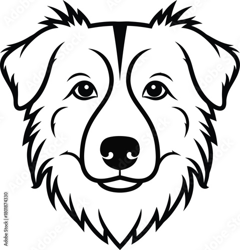 Australian shepherd dog face vector illustration breed pet animal art eps silhouette