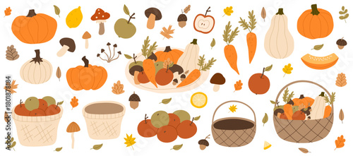 Autumn and seasonal vegetables. Fall harvest basket. Pumpkins, apples, mushrooms and carrots. Vector flat illustration.