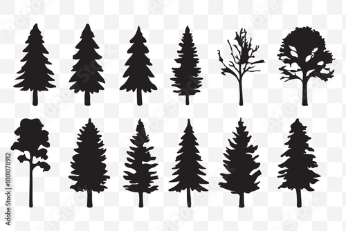 A festive set of winter forest trees, including pine and fir silhouettes, for your Christmas and holiday nature illustrations