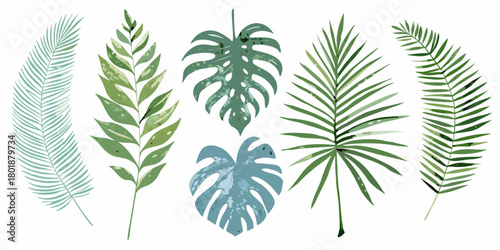 Collection of various tropical palm leaves and monstera leaves in shades of green and blue
