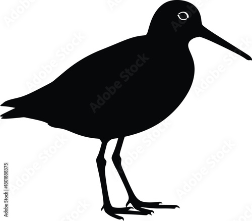 Black silhouette of a sandpiper bird vector image wildlife avian art eps