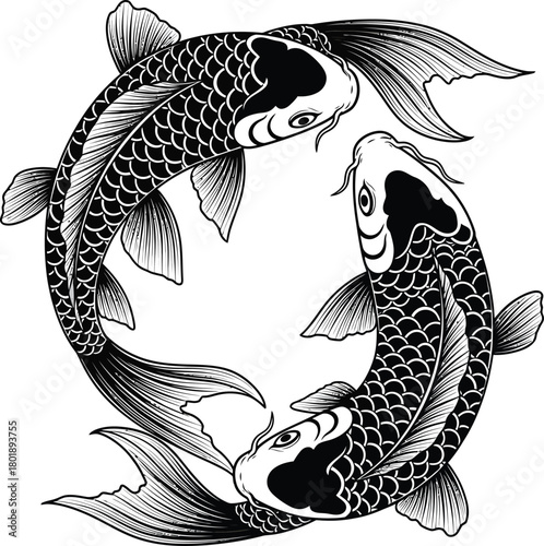 Two koi fish swimming in a circle monochrome illustration tattoo design eps silhouette