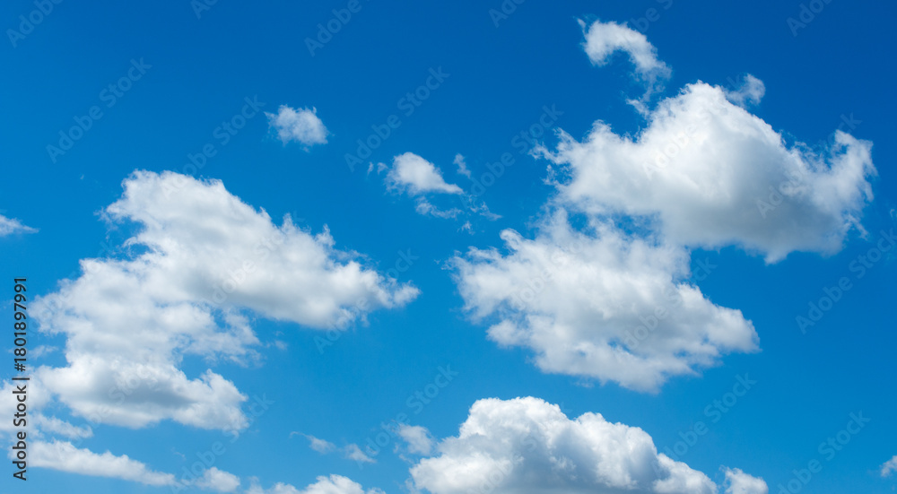 Fototapeta premium White clouds in blue sky.