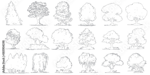 Collection of diverse tree line drawings including pine weeping willow and deciduous varieties on white background