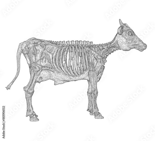 A terrifying zombie cow skeleton in black and white wireframe illustration stands menacingly on a plain white background. Side view