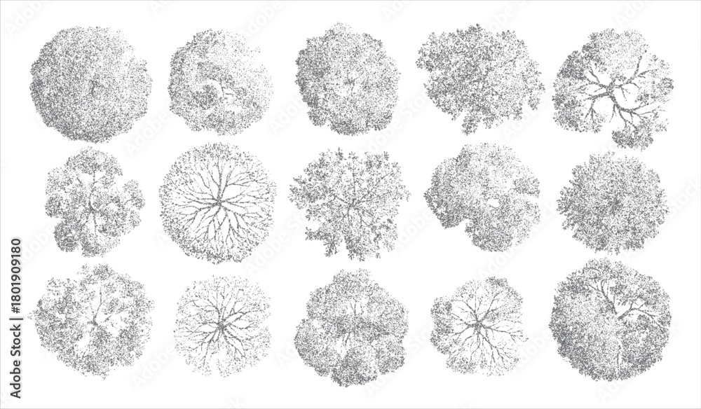 Obraz premium Fifteen diverse grey dot art trees viewed from directly above showing varied canopy shapes and branch structures on a white background