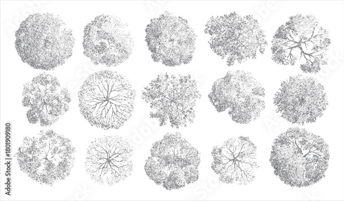Fifteen diverse grey dot art trees viewed from directly above showing varied canopy shapes and branch structures on a white background