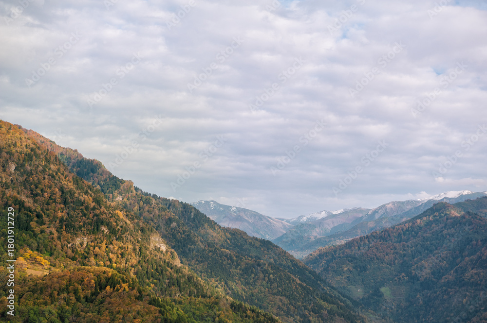 Obraz premium Mountain valley covered in colorful autumn foliage creates a peaceful scenic landscape
