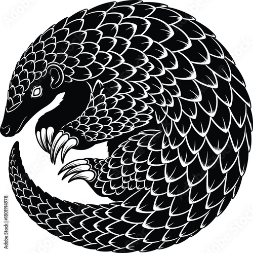 Pangolin curled up black and white vector illustration endangered animal eps silhouette