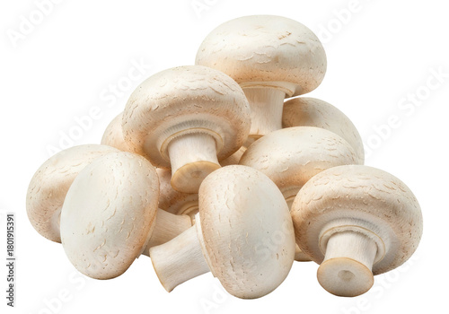 Close Up of Whole White Agaricus Bisporus Mushrooms, Cut Out, Clipping Path, Isolated on a Transparent PNG Background.