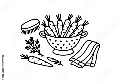 flat vector handdrawn black and white bold clean outlines white background zero contain produce wash colander veggie brush towel naked carrots herbs no logos