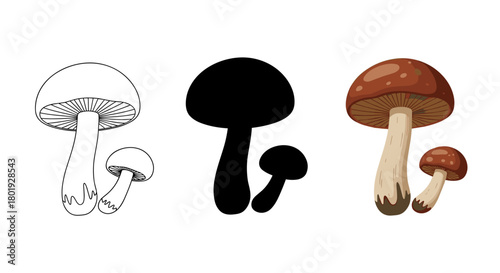 Three different styles of mushrooms displayed side-by-side, including an outline, a silhouette, and a colored illustration.