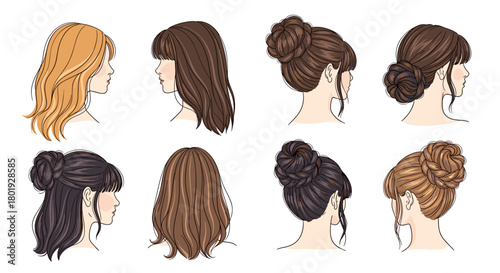Collection of diverse hairstyles illustrated on women's heads in profile and back views.