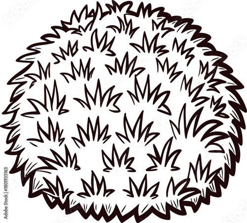 Round bush overhead view illustration with spiky leaves isolated on white garden shrub sketch in hand drawn