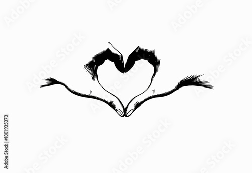 Elegant black and white abstract drawing depicting two birds forming a heart shape with their stylized wings, showcasing symmetry and artistic interpretation