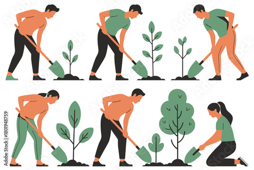 People planting trees and saplings in the ground using shovels.