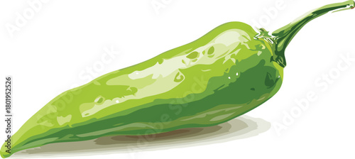 Chili vector art