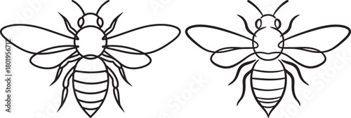 Two detailed bee silhouettes in outline style