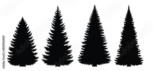 Four black silhouette evergreen trees of varying heights against a white background