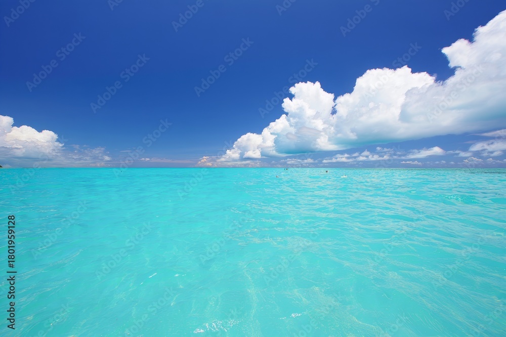 Obraz premium Tropical Ocean View with White Clouds
