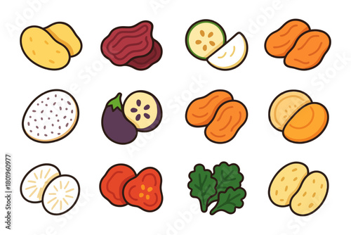 Colorful illustrated vegetable and root slices variety set.